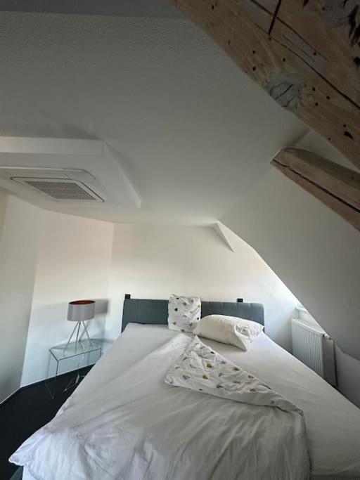 Panorama Penthouse In Wunderschoener Villa Кассель Экстерьер фото