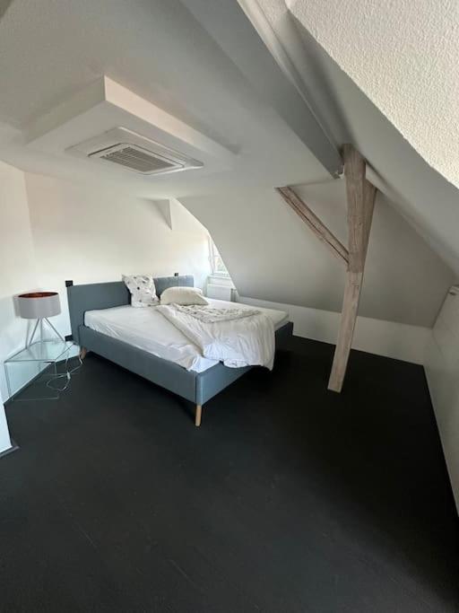 Panorama Penthouse In Wunderschoener Villa Кассель Экстерьер фото